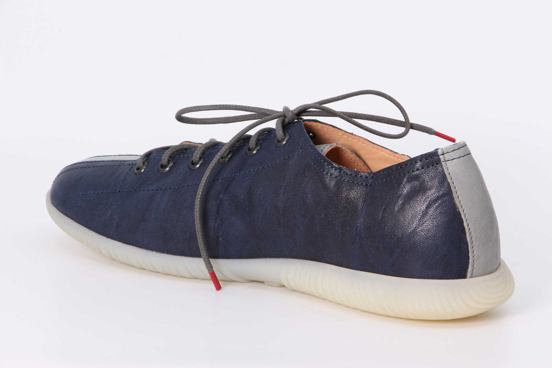 Hauki atlantik – Bild 2