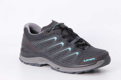 Meadow GTX Lo graphit / arktis