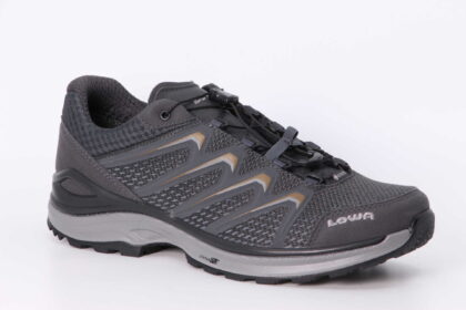 Meadow GTX LO grau / bronze