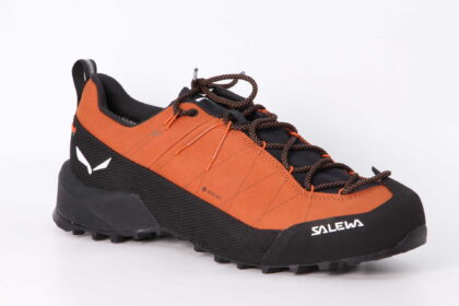 Wildfire Leather 2 GTX bombay brown