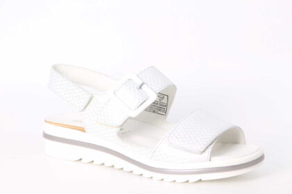 Hakura white / silver