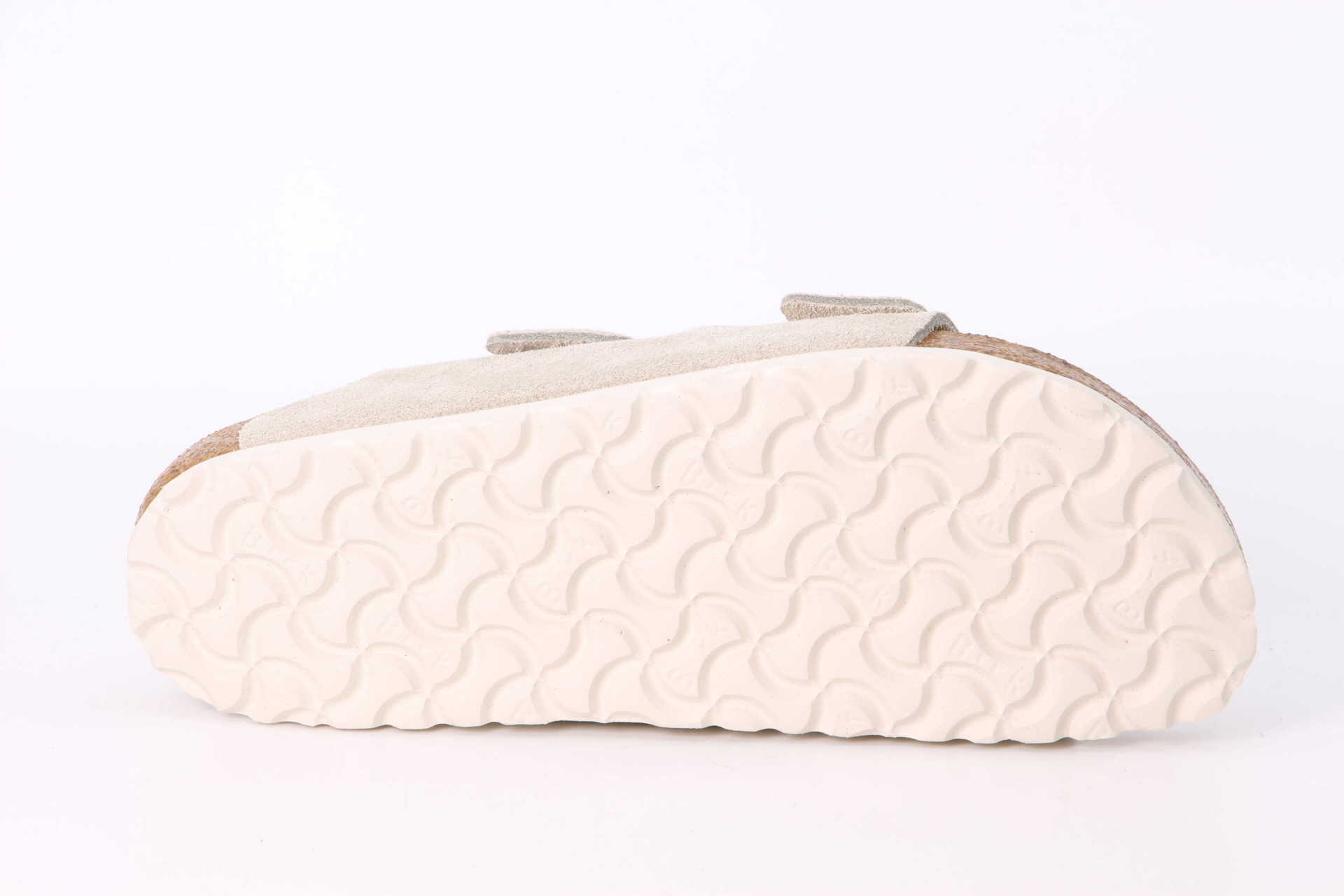 Arizona schmal oyster – Bild 3