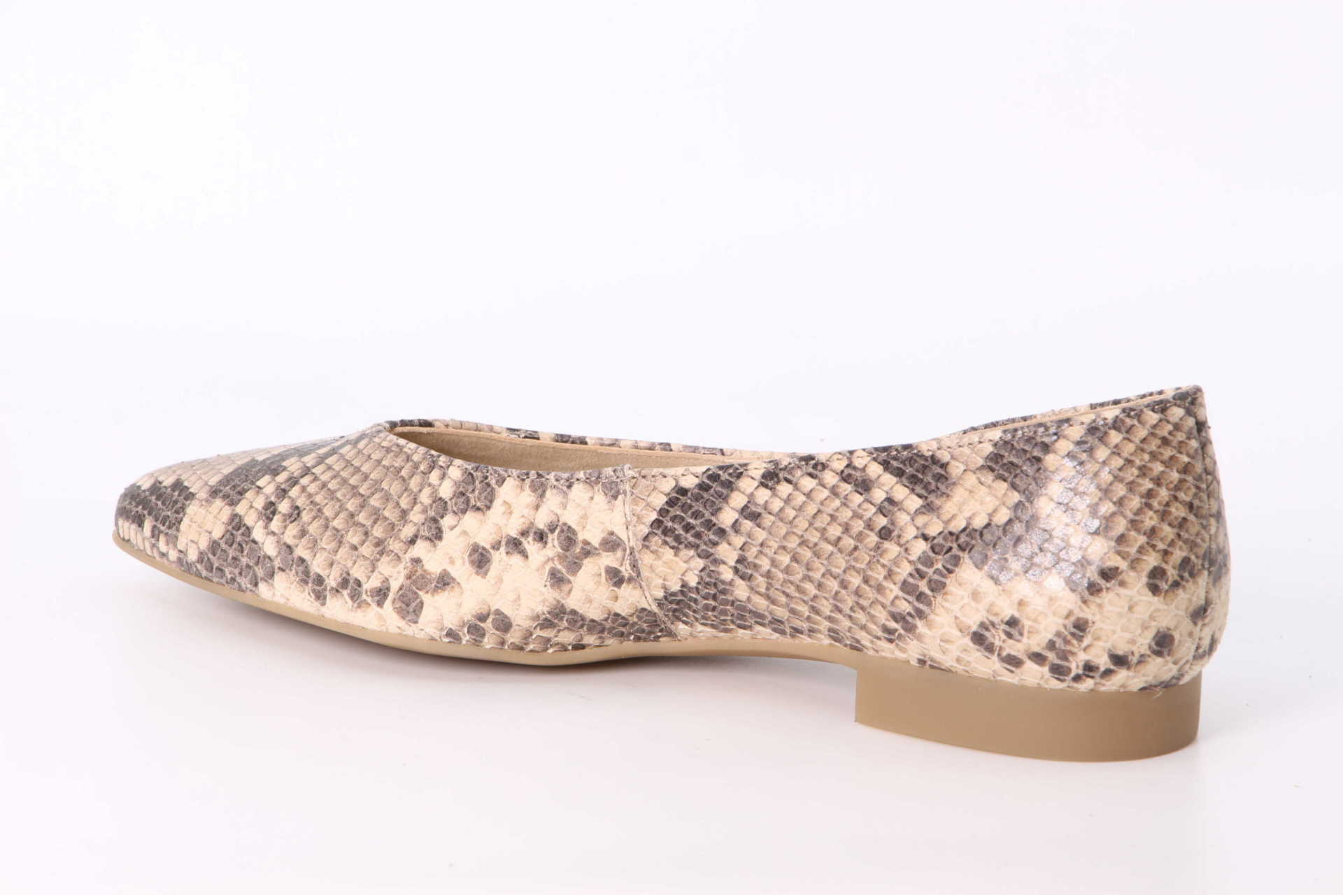 Ballerina sabia – Bild 2